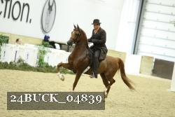 24BUCK_04839 thumbnail