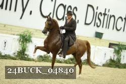 24BUCK_04840 thumbnail