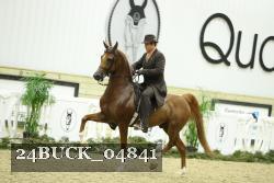 24BUCK_04841 thumbnail
