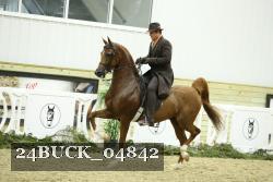 24BUCK_04842 thumbnail