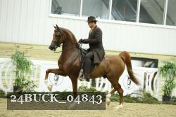 24BUCK_04843 thumbnail