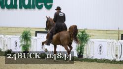 24BUCK_04844 thumbnail