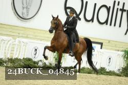 24BUCK_04845 thumbnail