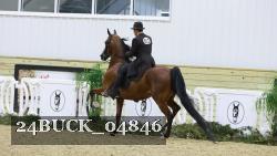 24BUCK_04846 thumbnail
