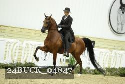 24BUCK_04847 thumbnail