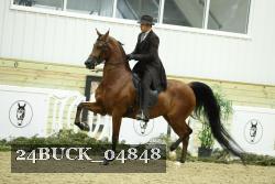 24BUCK_04848 thumbnail