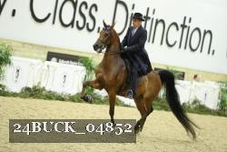 24BUCK_04852 thumbnail