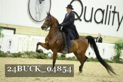24BUCK_04854 thumbnail