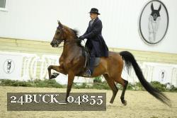 24BUCK_04855 thumbnail