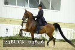 24BUCK_04856 thumbnail
