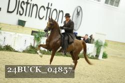 24BUCK_04857 thumbnail