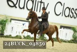24BUCK_04859 thumbnail