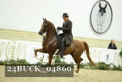 24BUCK_04860 thumbnail