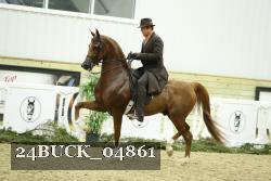 24BUCK_04861 thumbnail