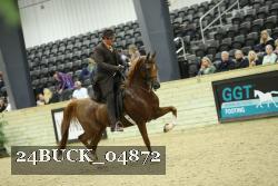 24BUCK_04872 thumbnail