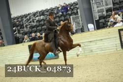 24BUCK_04873 thumbnail