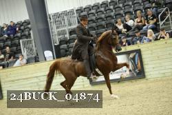 24BUCK_04874 thumbnail