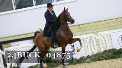 24BUCK_04875 thumbnail