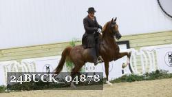 24BUCK_04878 thumbnail