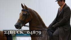 24BUCK_04879 thumbnail