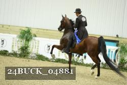 24BUCK_04881 thumbnail