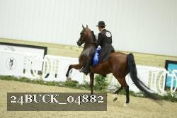 24BUCK_04882 thumbnail