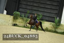 24BUCK_04885 thumbnail