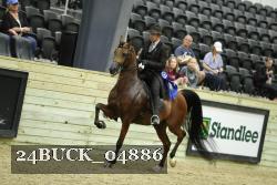 24BUCK_04886 thumbnail