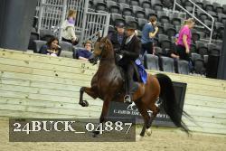 24BUCK_04887 thumbnail
