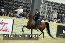 24BUCK_04891 thumbnail