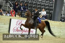 24BUCK_04892 thumbnail