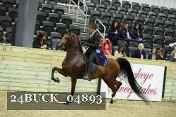 24BUCK_04893 thumbnail