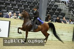 24BUCK_04896 thumbnail