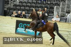 24BUCK_04900 thumbnail