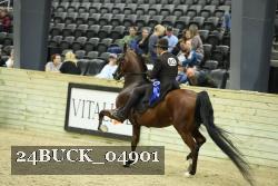 24BUCK_04901 thumbnail