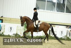 24BUCK_04906 thumbnail