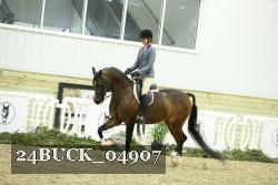 24BUCK_04907 thumbnail