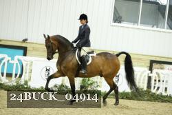 24BUCK_04914 thumbnail