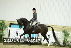 24BUCK_04917 thumbnail