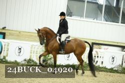 24BUCK_04920 thumbnail