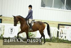 24BUCK_04929 thumbnail