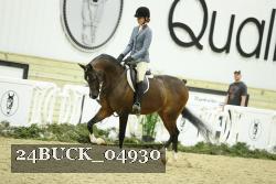 24BUCK_04930 thumbnail
