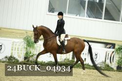 24BUCK_04934 thumbnail
