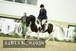 24BUCK_04936 thumbnail