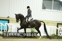 24BUCK_04942 thumbnail