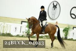 24BUCK_04943 thumbnail