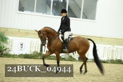 24BUCK_04944 thumbnail