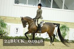 24BUCK_04948 thumbnail