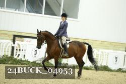 24BUCK_04953 thumbnail