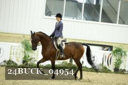 24BUCK_04954 thumbnail